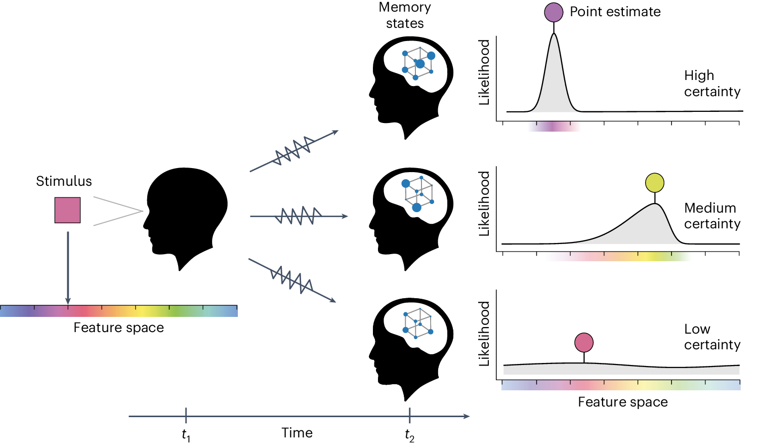 Visual representation of memory formation and retention processes